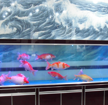生態(tài)魚缸廠家服務(wù)好