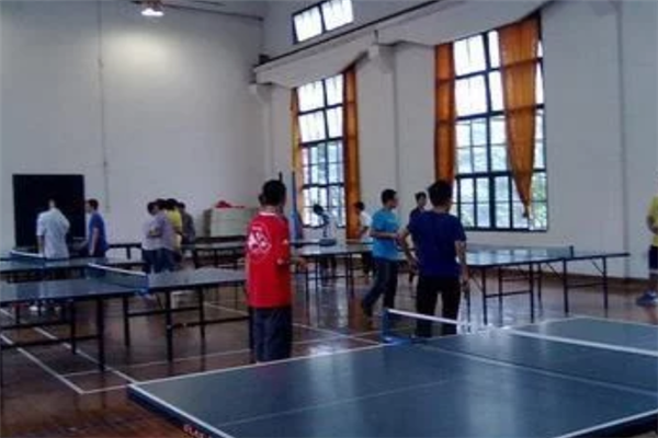 少兒教育機(jī)構(gòu)項目負(fù)責(zé)
