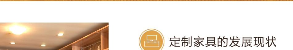 朗迈多丽衣柜——行业现状