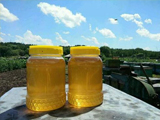 老山蜂蜂蜜