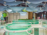 香港寶寶游泳館