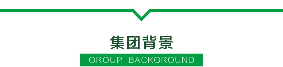 四季青藤酒店——集团背景