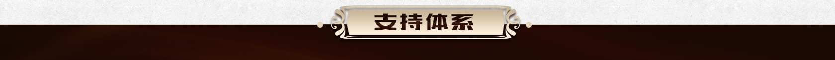 支持体系