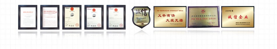 派乐汉堡-荣誉证书