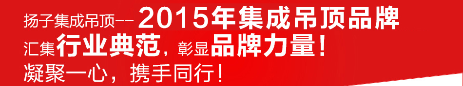 扬子集成吊顶--2014年集成吊顶十大品牌