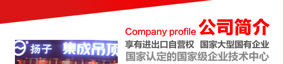 扬子集成吊顶--公司简介