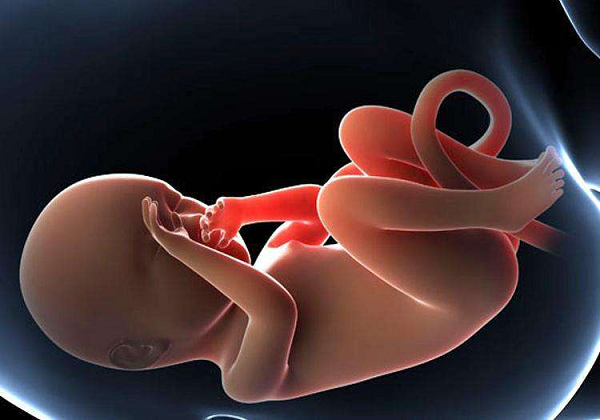 胎儿在羊水里真实图片图片